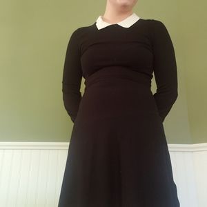 Collared Little Black Dress